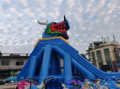 Outdoor Dragon Inflatable Animal Water Slides Long Commercial Inflatable Hippo Slide