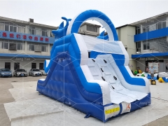 Water Play Equipment Dolphin Inflatable Water Slide for Swimming Pool