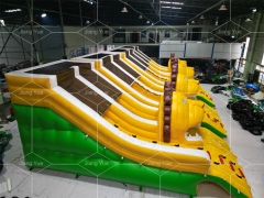 New Style Factory Sale Giant Tiger Inflatable Water Pool Slide for Kids and Adult