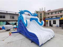 Water Play Equipment Dolphin Inflatable Water Slide for Swimming Pool